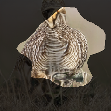 layer0-867