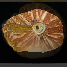 layer1-71