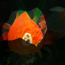 layer0-1456