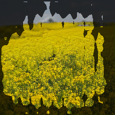 layer2-162