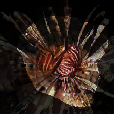 layer0-1458