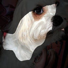 layer0-1459