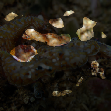 layer2-164