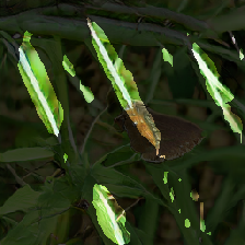 layer2-166