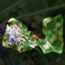 layer0-875