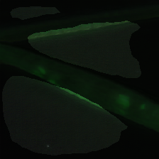 layer2-168
