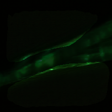 layer2-168