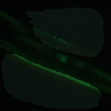 layer2-168