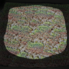 layer1-531