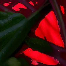 layer4-29