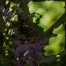 layer4-30