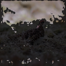 layer4-30