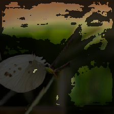 layer4-30