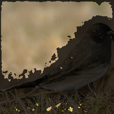 layer4-30