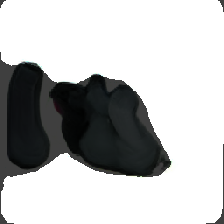 layer4-31
