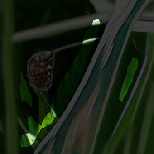 layer2-177