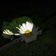 layer0-883