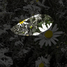 layer0-883
