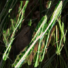 layer2-178