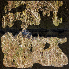 layer2-178
