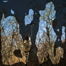 layer2-178