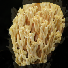 layer1-159