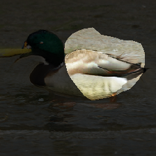 layer1-544