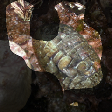 layer0-1466