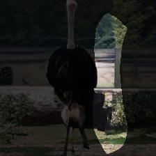 layer0-808