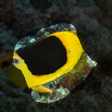 layer0-1476