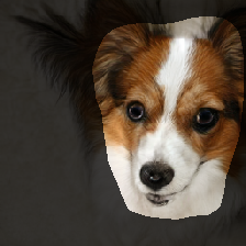 layer1-173