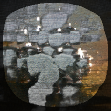 layer1-556