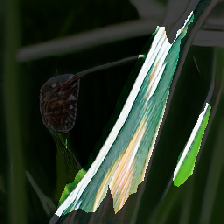 layer2-199