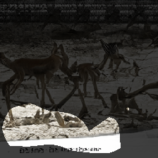 layer0-908