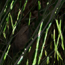 layer3-339