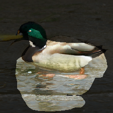 layer1-562