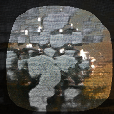 layer1-564