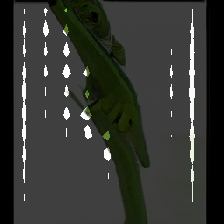 layer2-107