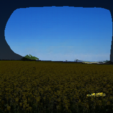 layer1-566
