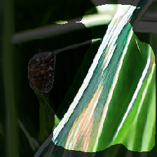 layer2-212