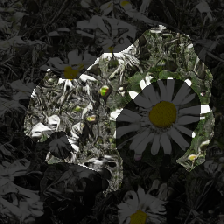 layer1-569