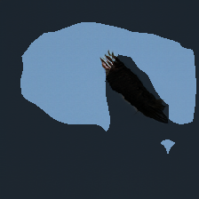 layer1-569