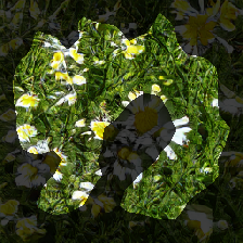 layer1-569