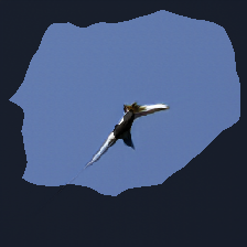 layer1-569