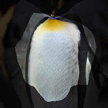 layer0-919