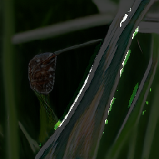layer3-340