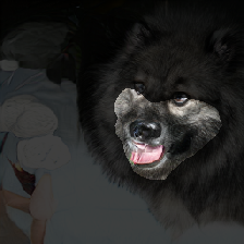 layer2-215