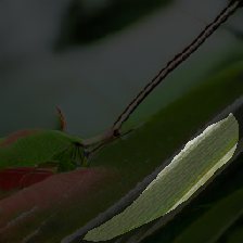 layer2-216