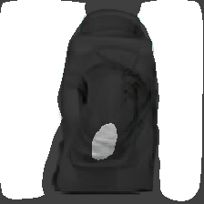 layer2-217