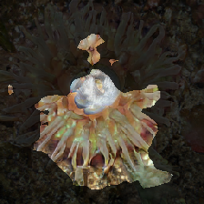 layer2-108